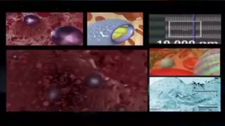 The Hidden Game Behind Musk’s New World Distraction