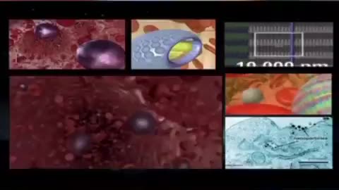 The Hidden Game Behind Musk’s New World Distraction