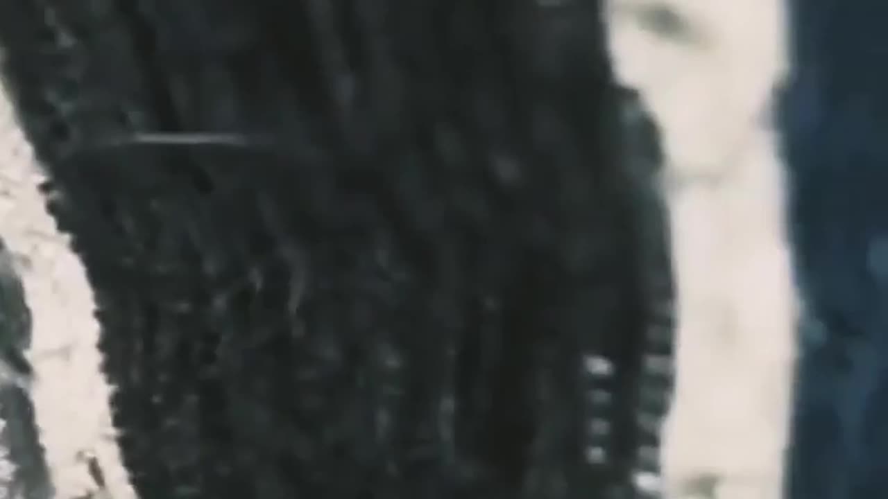 😂🐶 Hoooman is Upto Something | FunFM