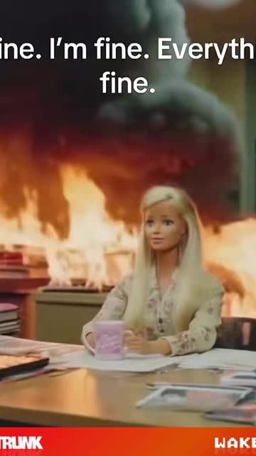 Everything is fine Barbie