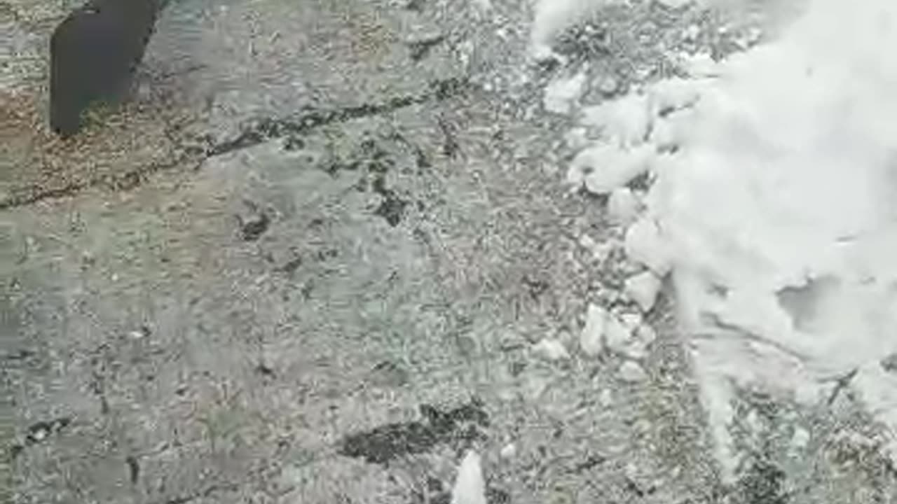 still Snowy in March, But My Pigeons Gotta Eat!