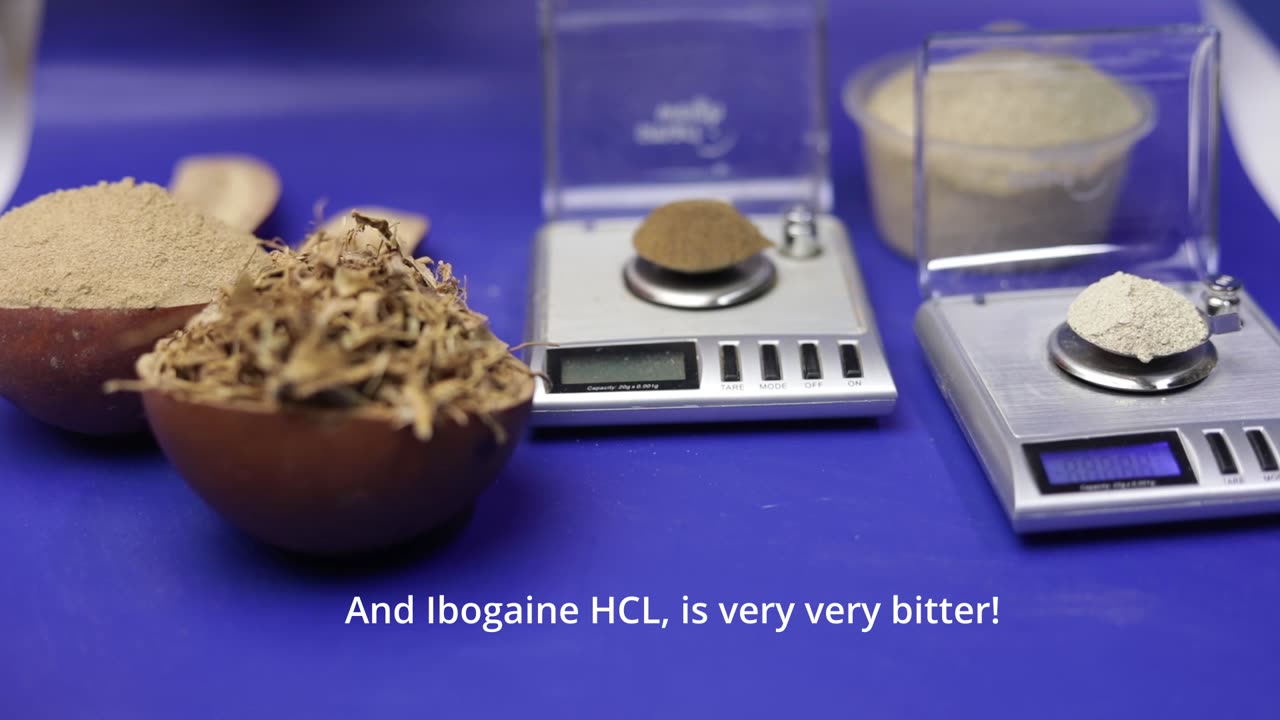 🌿 Iboga Root Bark vs Iboga TA vs Iboga HCl: What’s the Difference?