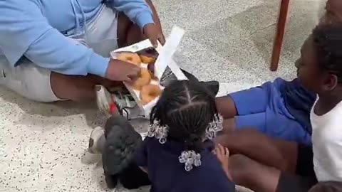Diversity steals donuts 