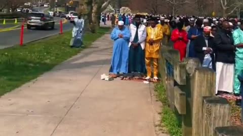 New York has fallen.