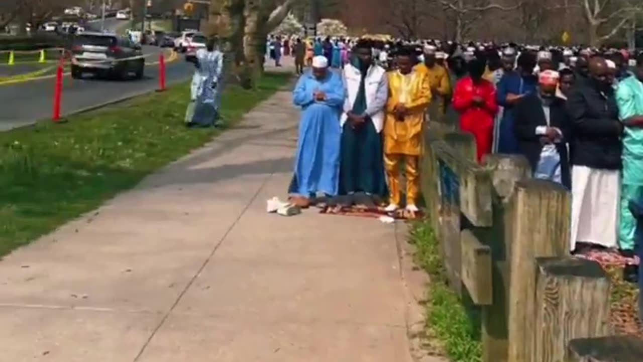 New York has fallen.