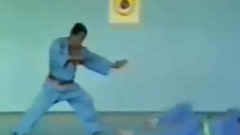 Vovinam Vietnamese Martial Art