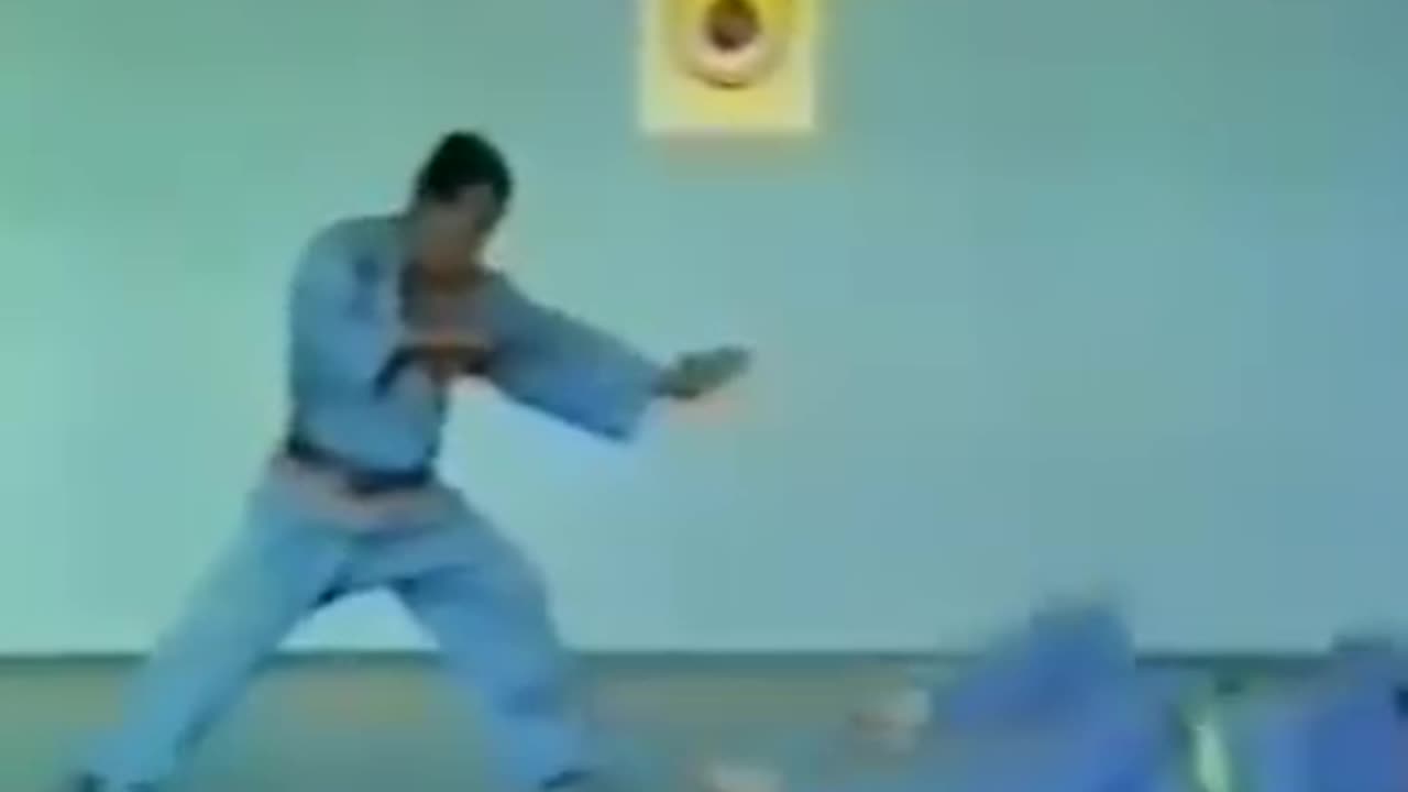 Vovinam Vietnamese Martial Art