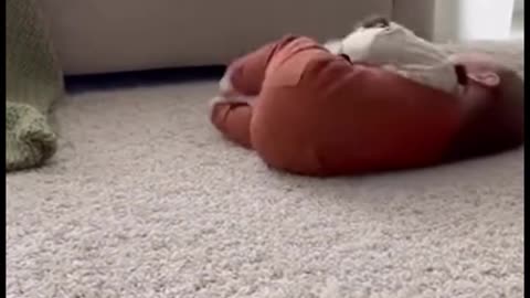 Cute Baby Playing with Animals | Adorable Baby and Pet Moments 2025