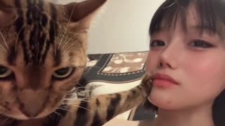 🤣🐕 Don't You Dare Flirt With My Hooman! Dog Protector Mode | FunFM