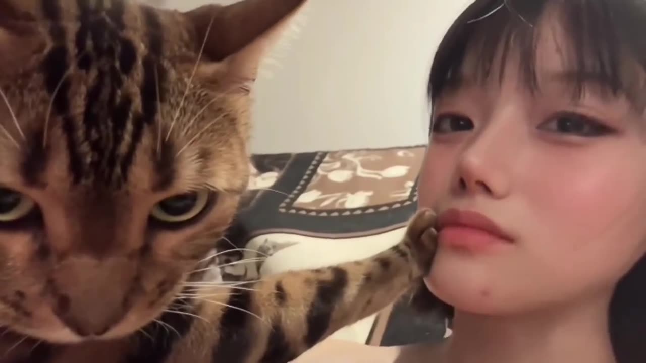 🤣🐕 Don't You Dare Flirt With My Hooman! Dog Protector Mode | FunFM
