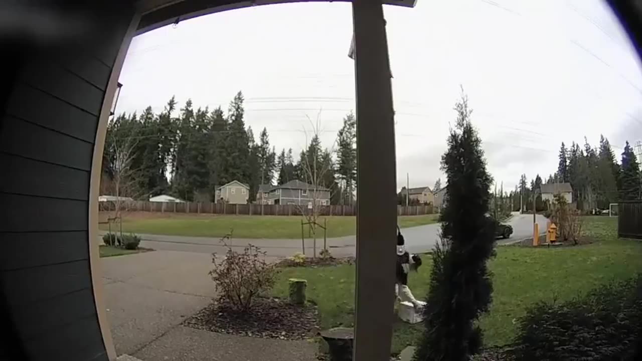 Porch pirate slipping on wet grass while stealing packages and severely twisting her ankle