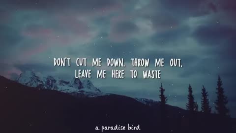 Alec Benjamin - Let Me Down Slowly (Lyrics)