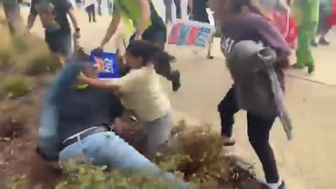 A fight breaks out at the "No Kings" Elgin protest after Hispanics assault a Trump