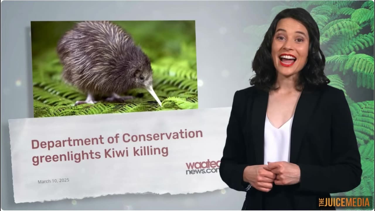 Honest Government Ad | Visit New Zealand!