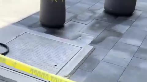 UVU Cameras