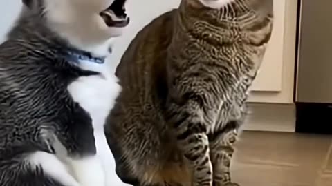 Phillies Land All-Star Closer Jhoan Duran | Major MLB Trade Update