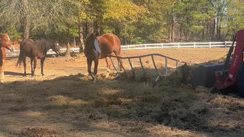 Cleaning up their mess