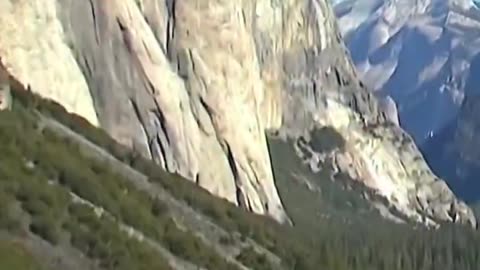 Oh no, not without permits!!!! 😂🦅