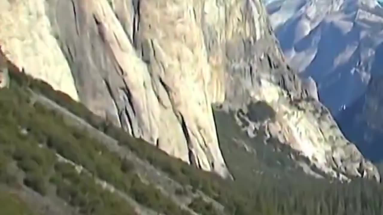 Oh no, not without permits!!!! 😂🦅