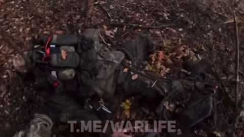 Brazilian Volunteers Collecting Trophies