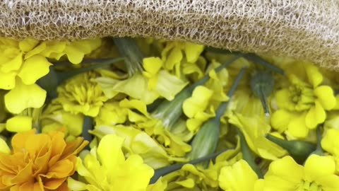 Exfoliating Loofah Season is Officially Here! ✨