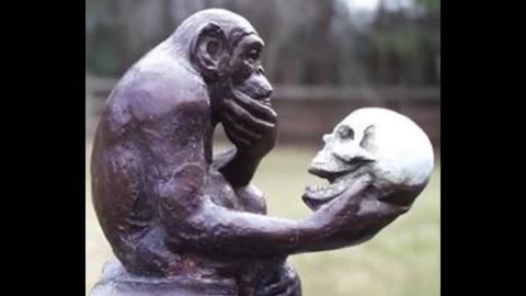 Be a Thinking Ape Some Clarifications