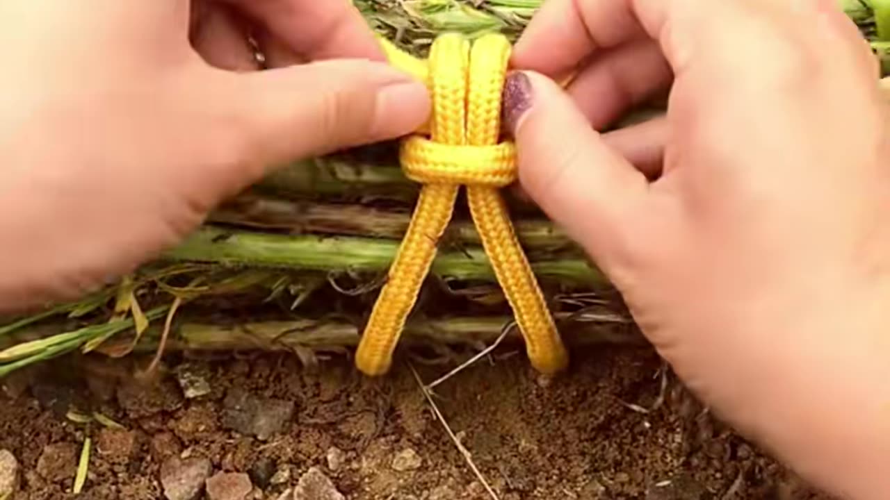 👀💡 This Hack Will Change Your Life! | LifeHacksDaily