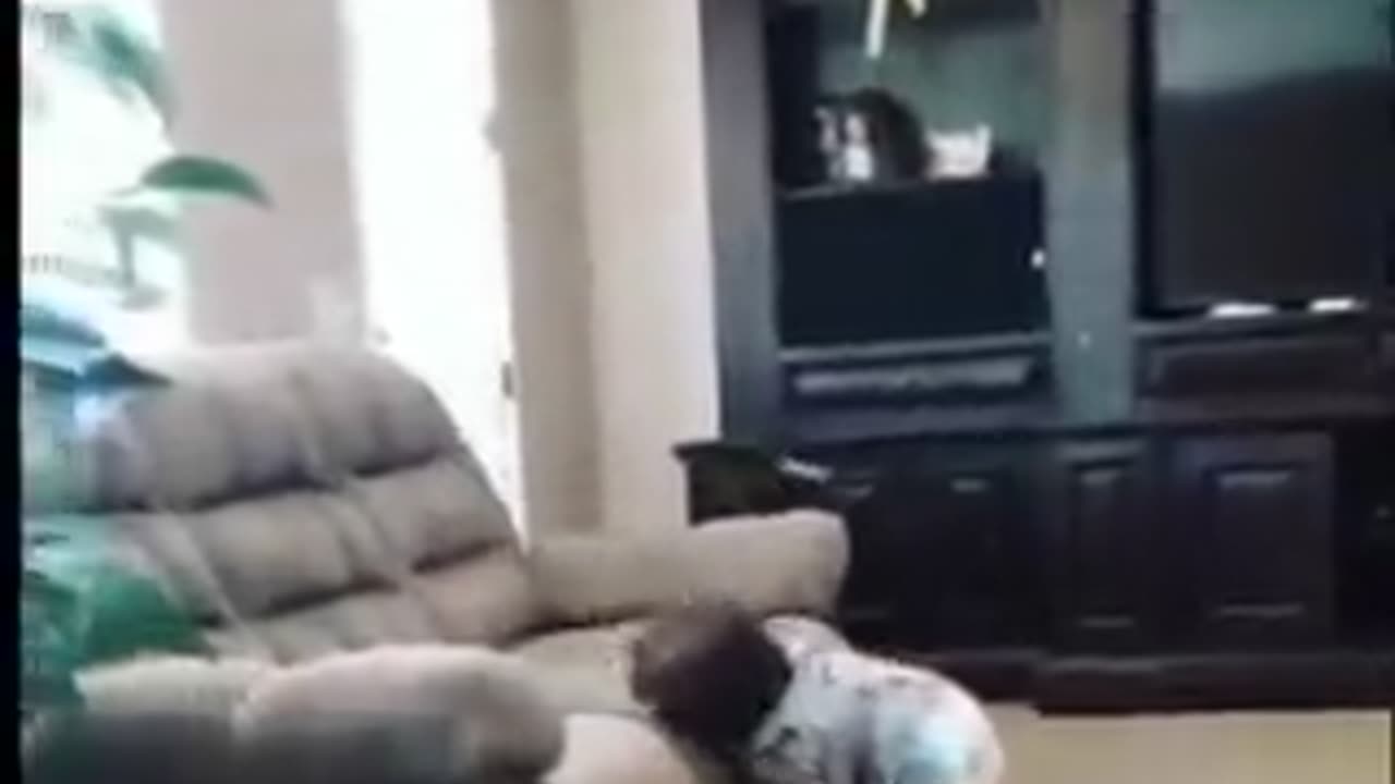 The greatest moment in the history of cinema | funny video | crazy clips