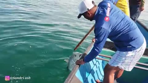 Only Pro Anglers Can Fish Here! Battling Giant Monster Fish in Extreme Waters