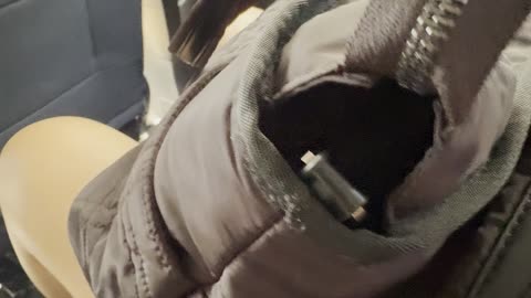 Sneaky Chihuahua Hides In Bag During Rideshare