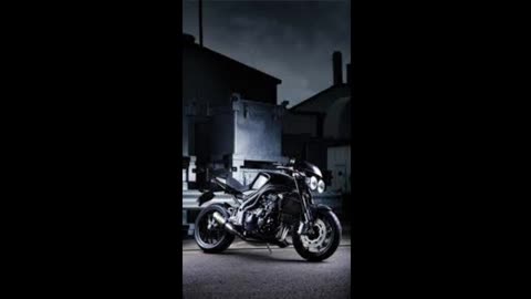 Golden Sunset | Floating Thoughts | Peaceful Mind