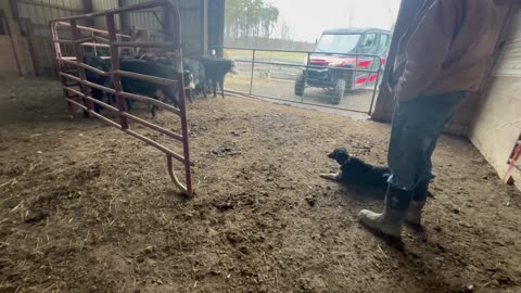 Wendy Sue 11/27/2025 Three