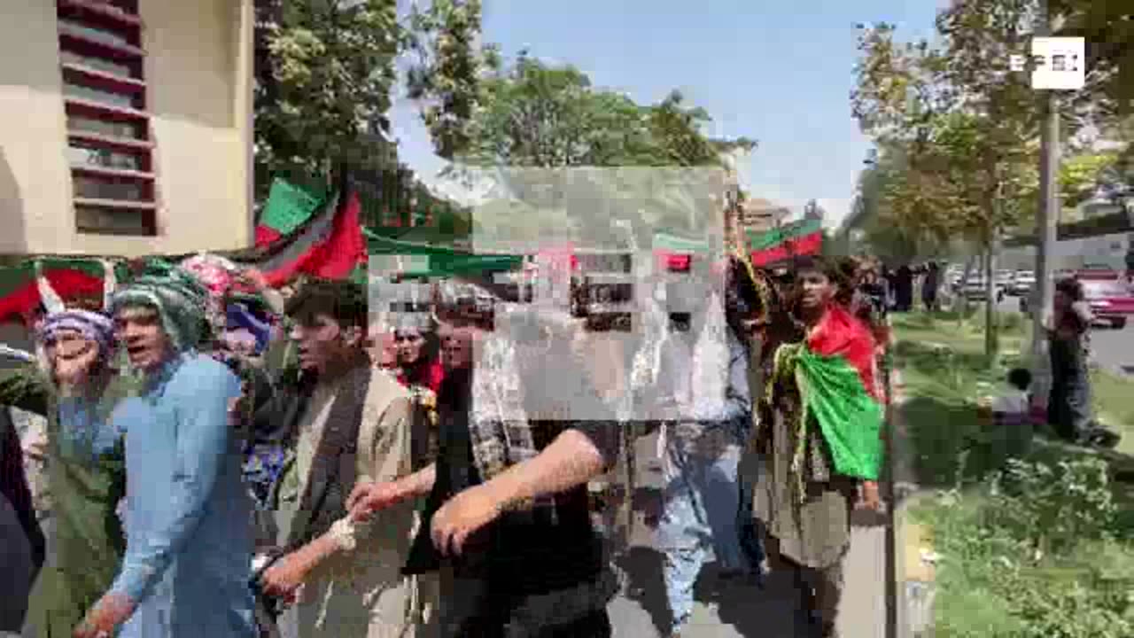 Talibanes celebran la independencia de Afganistán