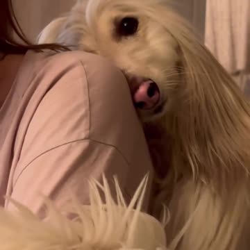 Soulmate just can’t let go 😊