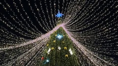 Daily Horoscope | Sagittarius 🌟