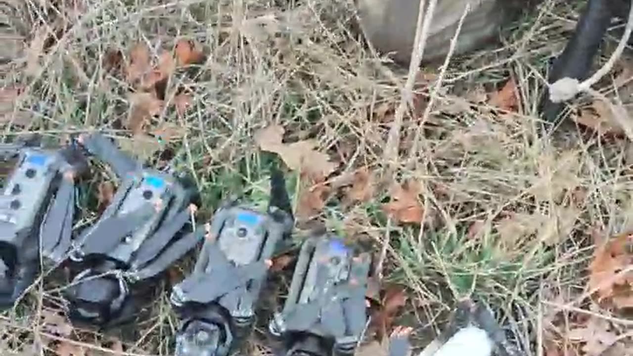 Ordinary hunters from the DPR boasted about their game