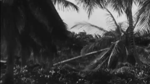 OPERATION SANDSTONE... - OPERATION SANDSTONE (ENIWETOK ATOM BOMB TESTS) ENIWETOK, MAR - 111-adc-8440