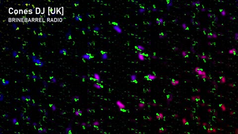 BRINEBARREL RADIO | Go Goblins, Go! | TECH HOUSE MINIMAL BASS CHUNKY