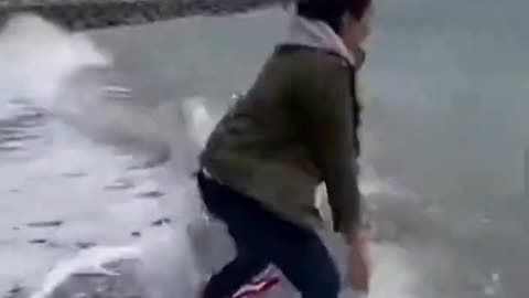 Seal Tries to Pull Dog Into the Ocean