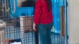 😂💥 Vandalism Gone Wrong! | FunFM