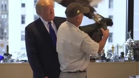 Trump vs eagle