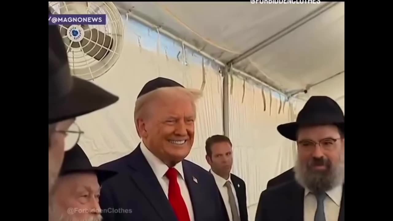 Dirty Jew Traitor by Wondergateleaks