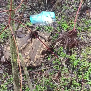 ☠️🐷36916 Таинственное явление Миколы природе