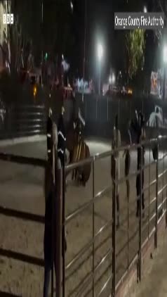 **Helicopter Airlifts Horse to Safety in Dramatic Rescue**