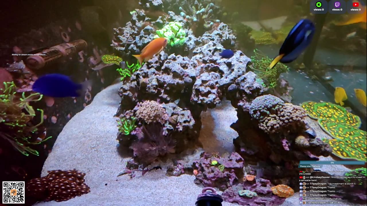 24/7 Real Live Reef Stream