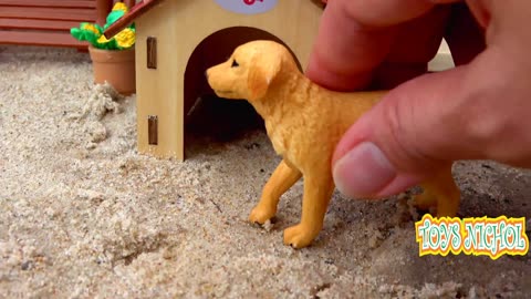 Two Dogs Guard Turkey Coop behind the House
