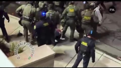 O esquerdista PERDEU, ao ser jogado no chão com um belo cruzado de direita