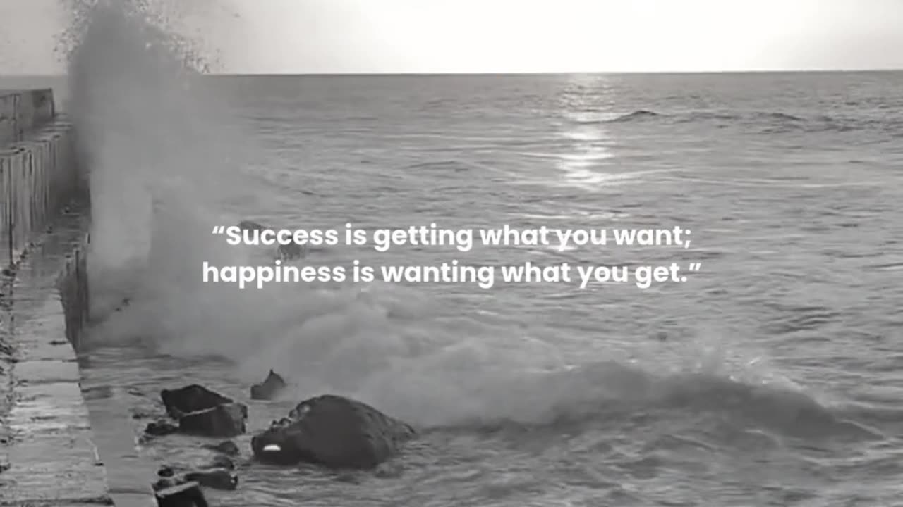 Success is getting what you want; happiness is wanting what you get.