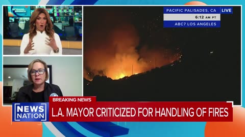 'Pacific Palisades are gone': L.A. council member on wildfires | Morning in America
