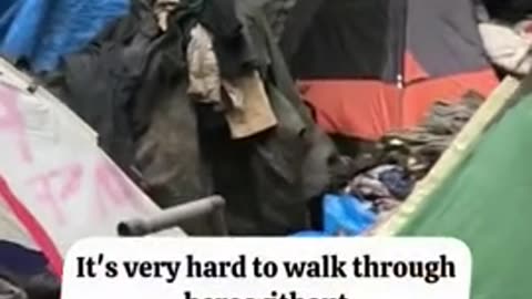 Democrats have turned Portland Oregon into a City of Trash